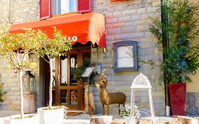 Albergo Ristorante Gallo